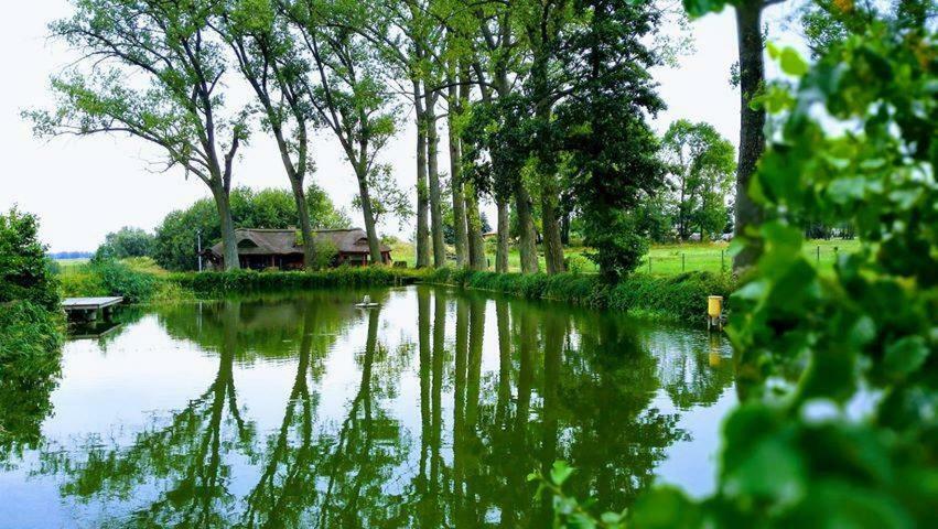 Hotel&Spa Dwor Droblin Leśna Podlaska エクステリア 写真